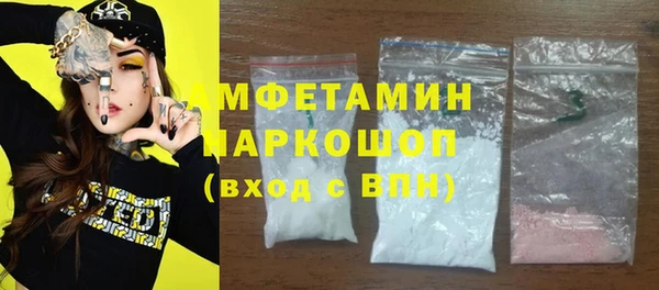 стаф Вязьма